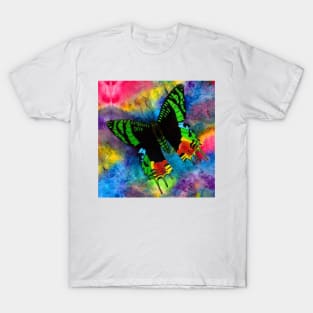 Sunset Moth T-Shirt